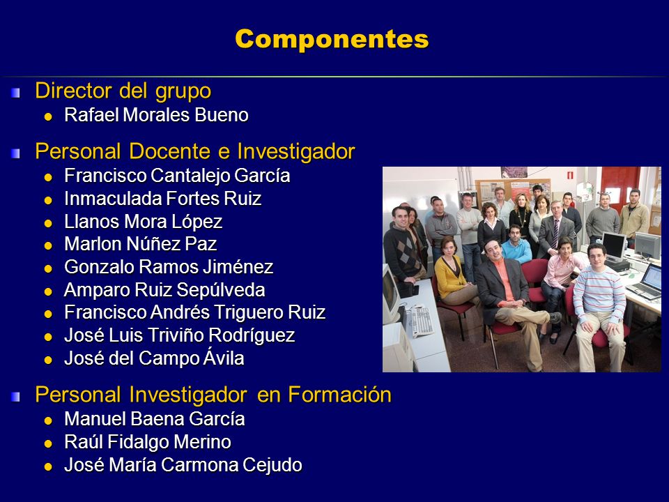 Componentes Director del grupo Personal Docente e Investigador