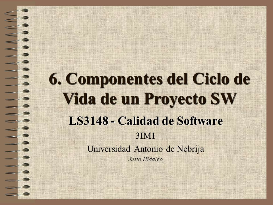 6. Componentes del Ciclo de Vida de un Proyecto SW