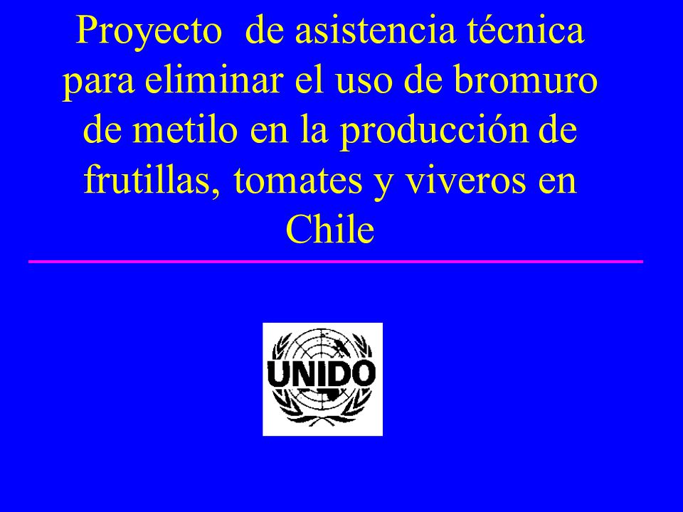 Proyecto de asistencia técnica para eliminar el uso de bromuro de metilo en la producción de frutillas, tomates y viveros en Chile