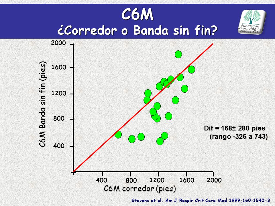 C6M ¿Corredor o Banda sin fin