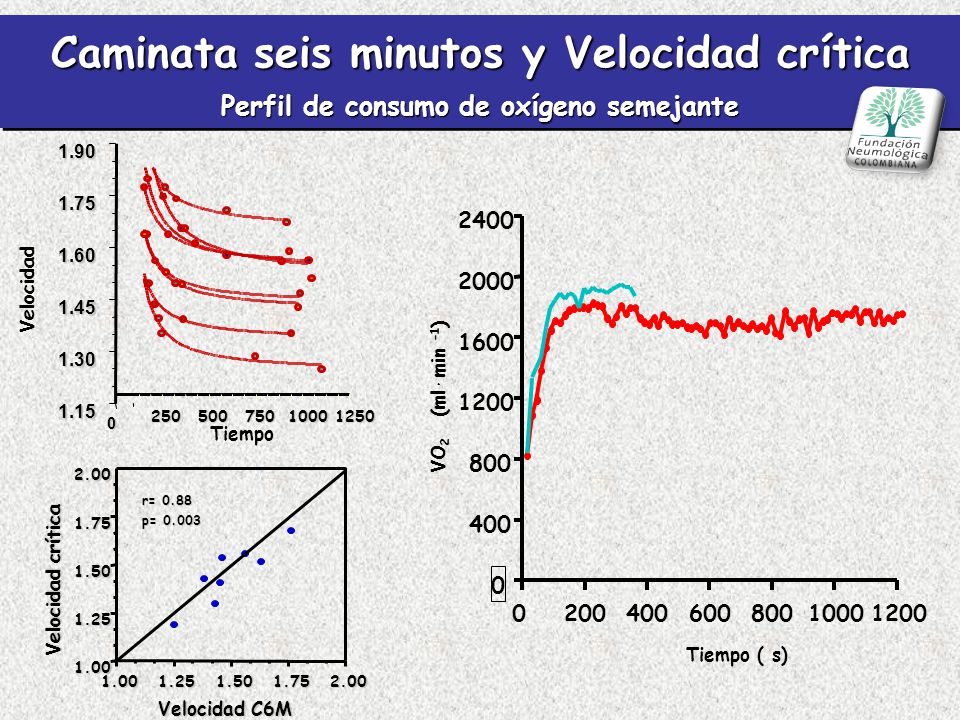 Caminata seis minutos y Velocidad crítica Perfil de consumo de oxígeno semejante