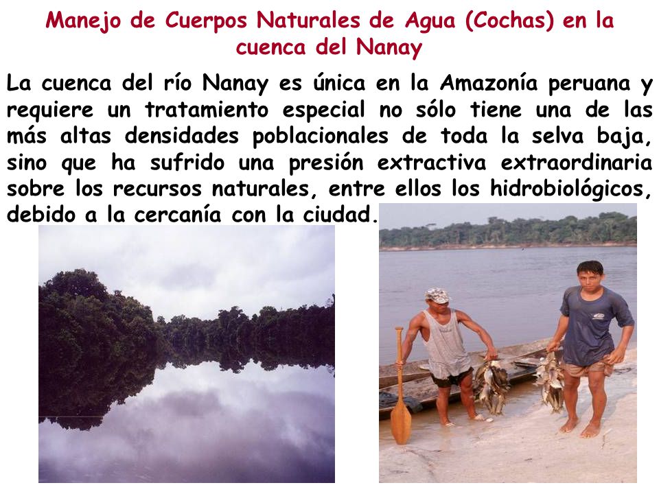 Manejo de Cuerpos Naturales de Agua (Cochas) en la cuenca del Nanay