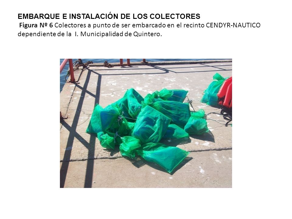 EMBARQUE E INSTALACIÓN DE LOS COLECTORES Figura Nº 6 Colectores a punto de ser embarcado en el recinto CENDYR-NAUTICO dependiente de la I.
