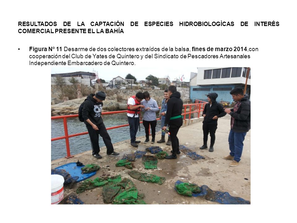 RESULTADOS DE LA CAPTACIÓN DE ESPECIES HIDROBIOLOGÌCAS DE INTERÉS COMERCIAL PRESENTE EL LA BAHÍA