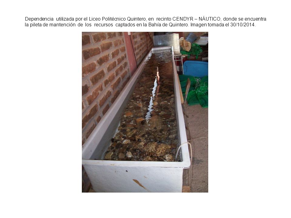 Dependencia utilizada por el Liceo Politécnico Quintero, en recinto CENDYR – NÁUTICO, donde se encuentra la pileta de mantención de los recursos captados en la Bahía de Quintero.