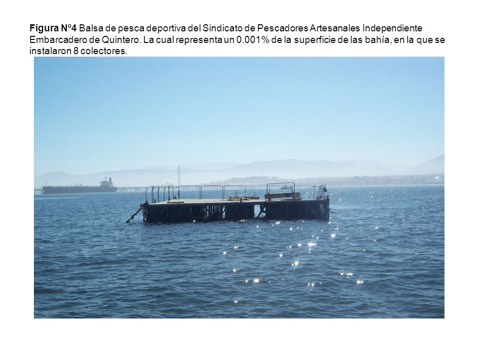 Figura Nº4 Balsa de pesca deportiva del Sindicato de Pescadores Artesanales Independiente Embarcadero de Quintero.