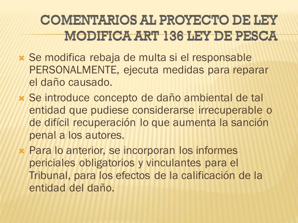 Se modifica rebaja de multa si el responsable PERSONALMENTE, ejecuta medidas para reparar el daño causado.