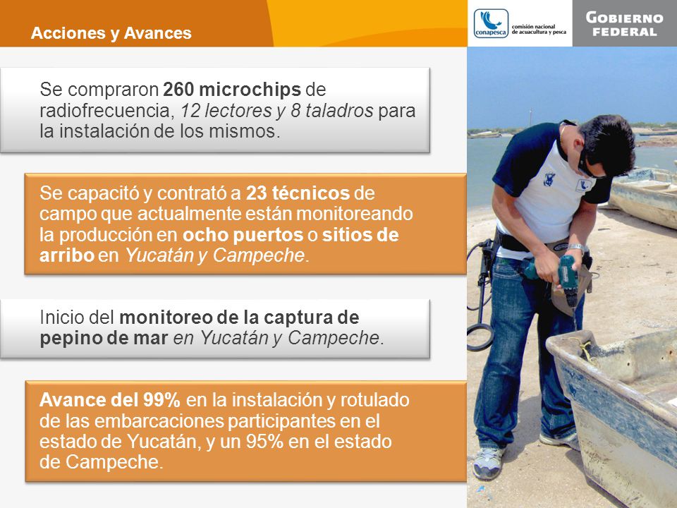 Acciones y Avances Se compraron 260 microchips de radiofrecuencia, 12 lectores y 8 taladros para la instalación de los mismos.