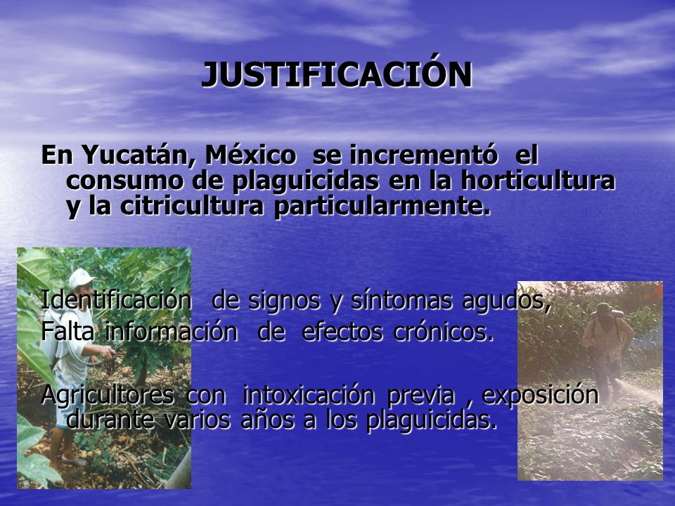 JUSTIFICACIÓN En Yucatán, México se incrementó el consumo de plaguicidas en la horticultura y la citricultura particularmente.