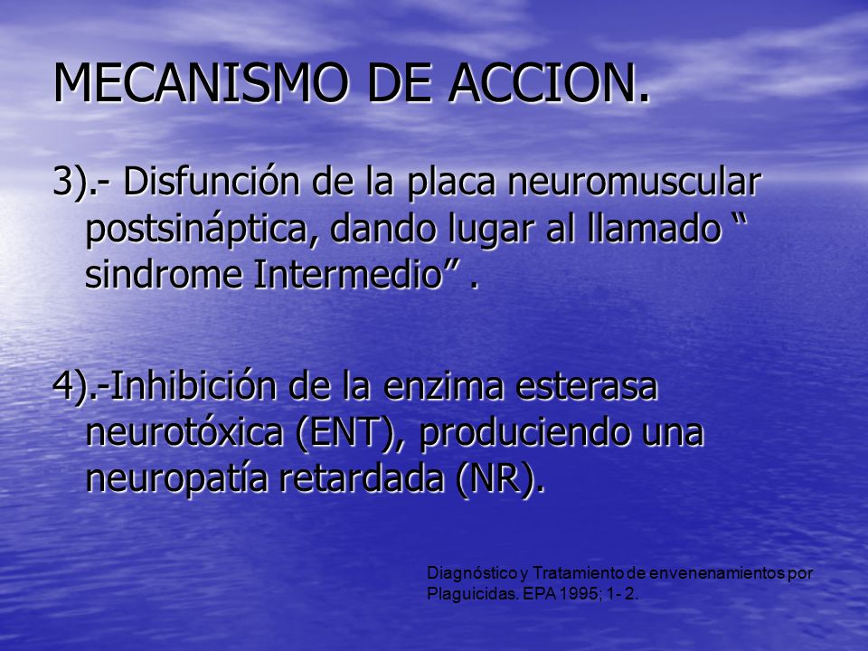MECANISMO DE ACCION. 3).- Disfunción de la placa neuromuscular postsináptica, dando lugar al llamado sindrome Intermedio .