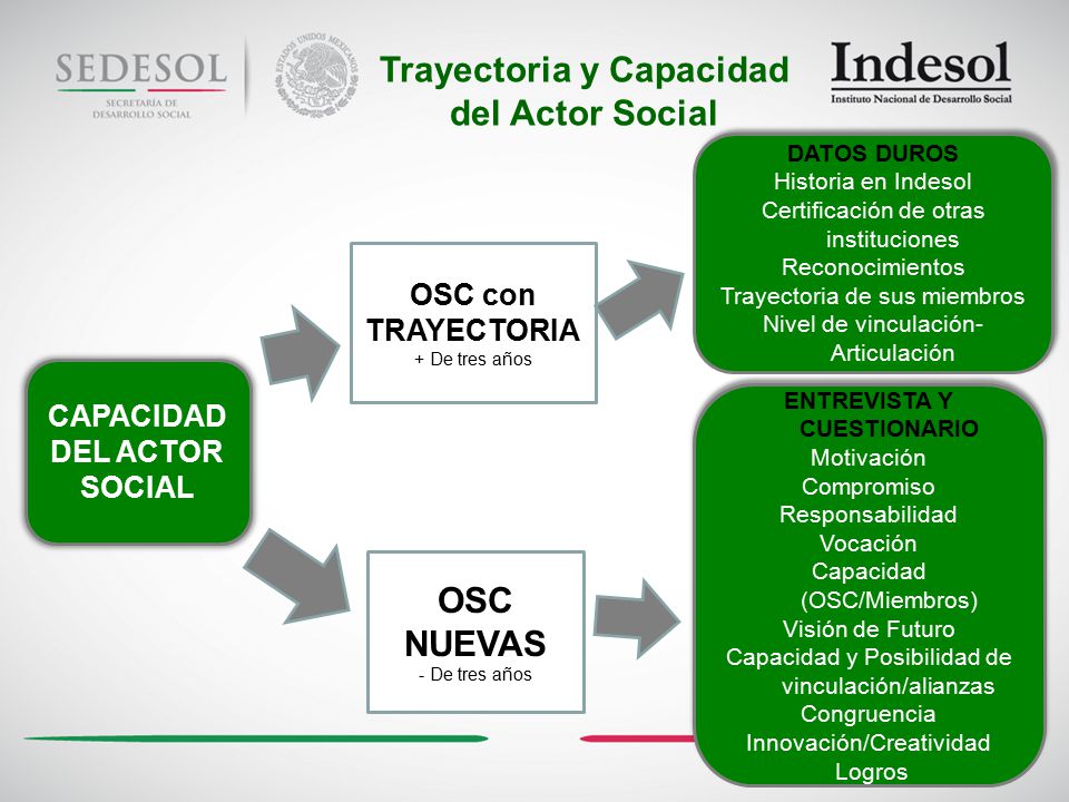 Trayectoria y Capacidad del Actor Social OSC NUEVAS