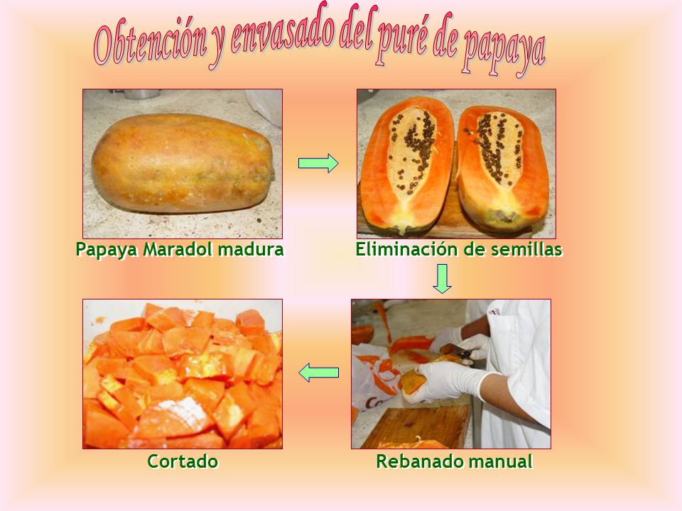 Obtención y envasado del puré de papaya Eliminación de semillas