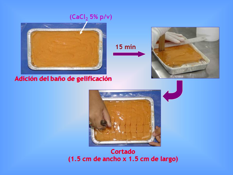 Adición del baño de gelificación (1.5 cm de ancho x 1.5 cm de largo)
