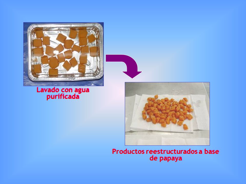 Lavado con agua purificada Productos reestructurados a base de papaya