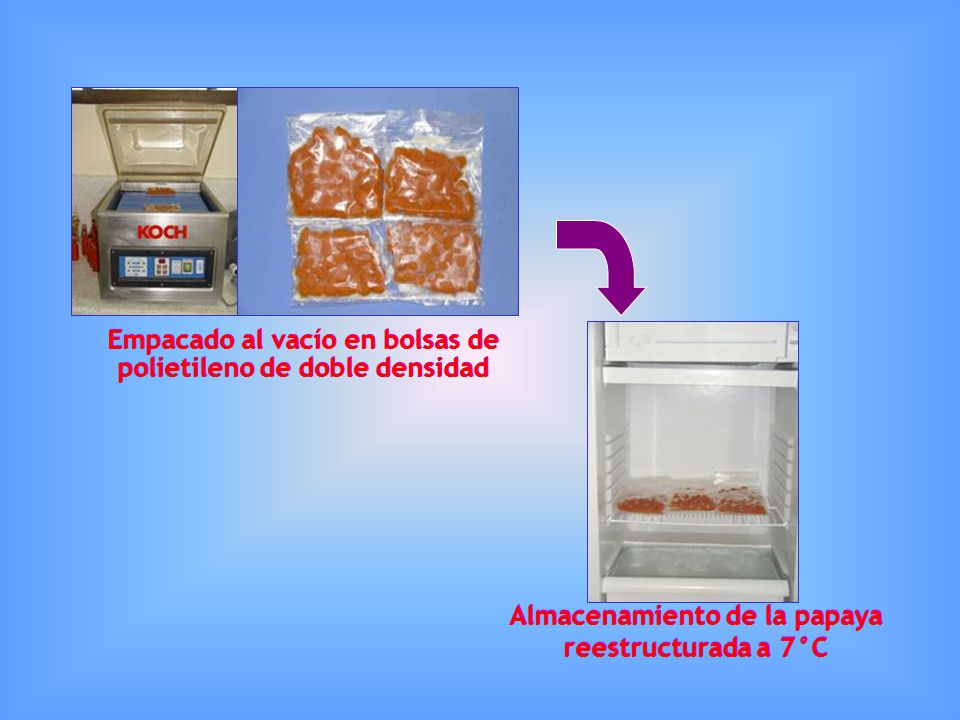 Empacado al vacío en bolsas de polietileno de doble densidad