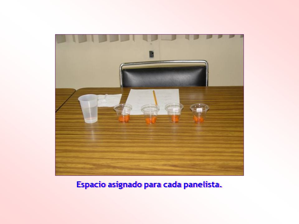 Espacio asignado para cada panelista.