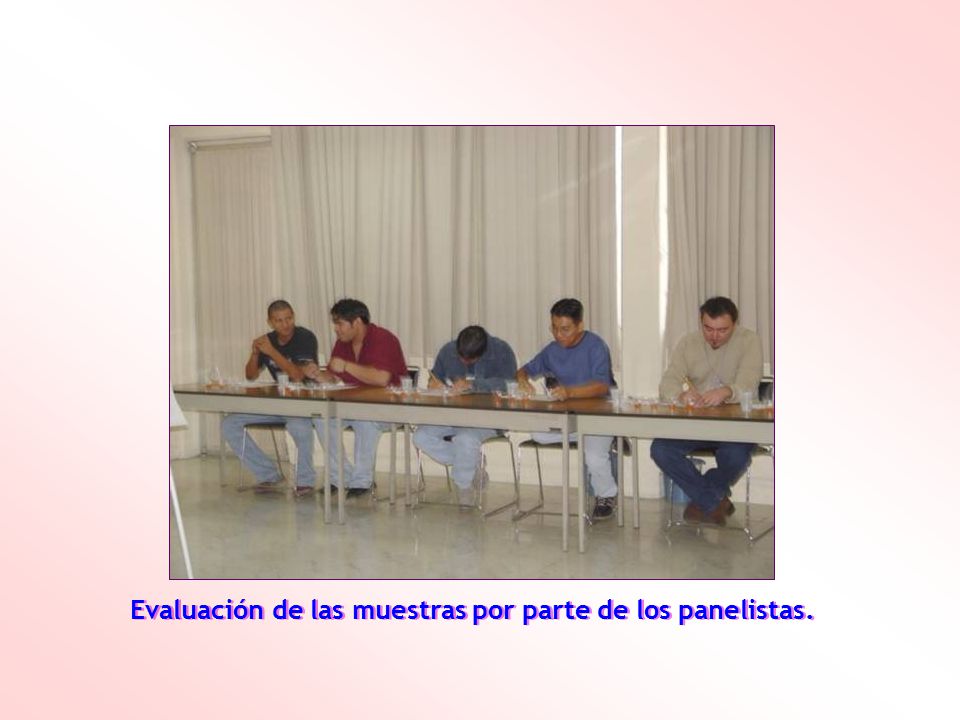 Evaluación de las muestras por parte de los panelistas.
