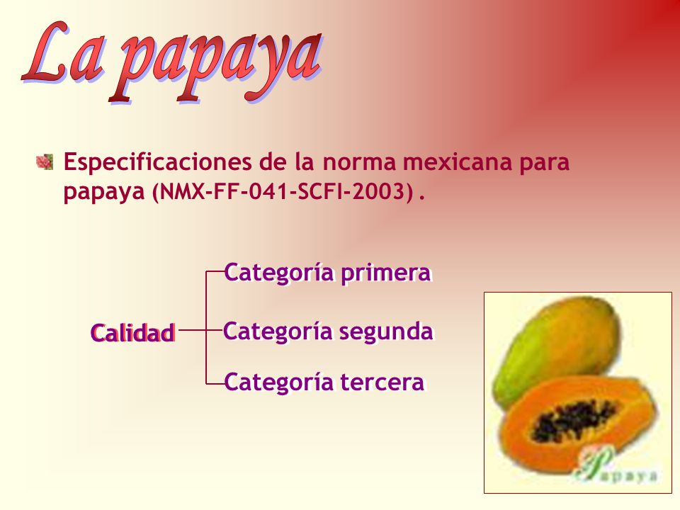 La papaya Especificaciones de la norma mexicana para papaya (NMX-FF-041-SCFI-2003) . Calidad. Categoría primera.