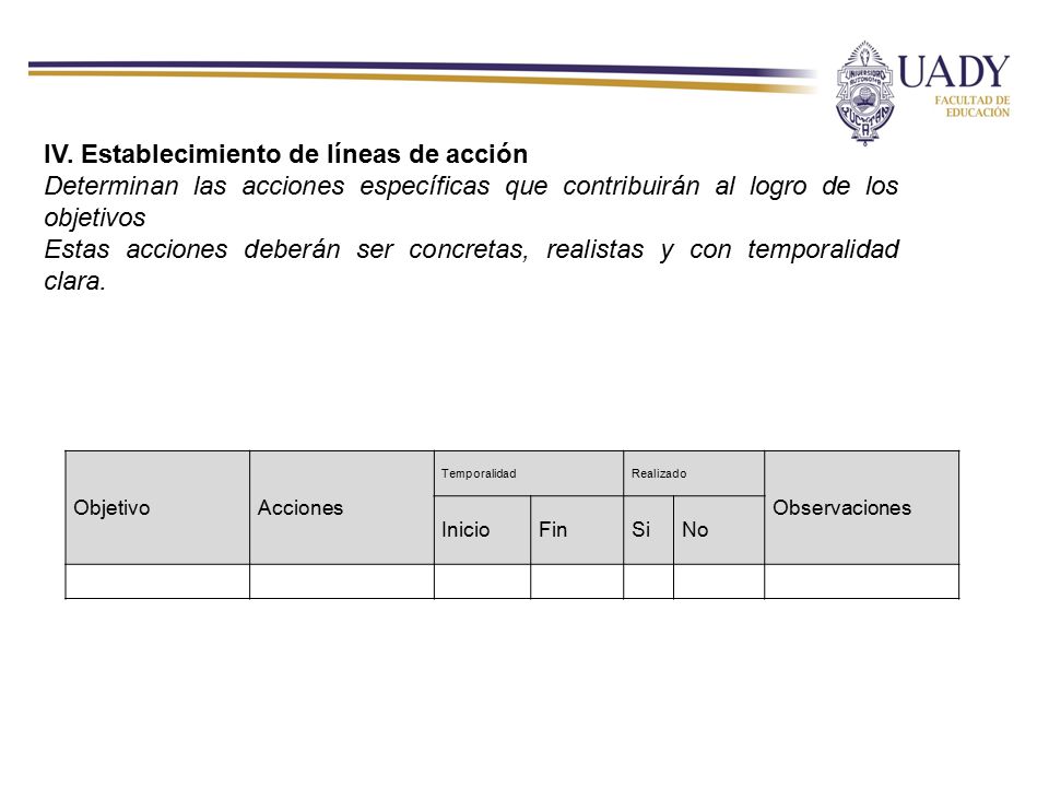 IV. Establecimiento de líneas de acción
