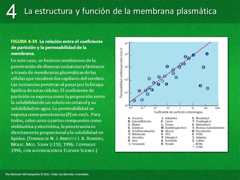 FIGURA 4-34 La relación entre el coeficiente de partición y la permeabilidad de la membrana.