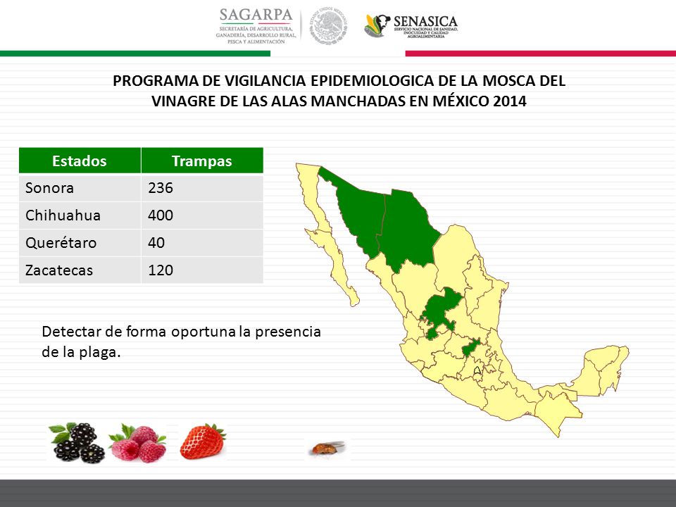 PROGRAMA DE VIGILANCIA EPIDEMIOLOGICA DE LA MOSCA DEL VINAGRE DE LAS ALAS MANCHADAS EN MÉXICO 2014