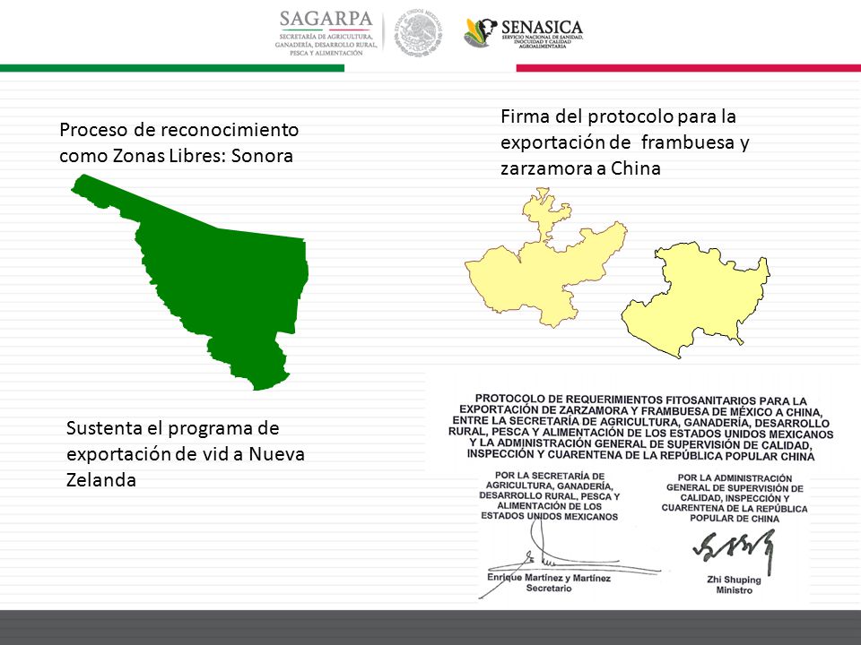 Firma del protocolo para la exportación de frambuesa y zarzamora a China