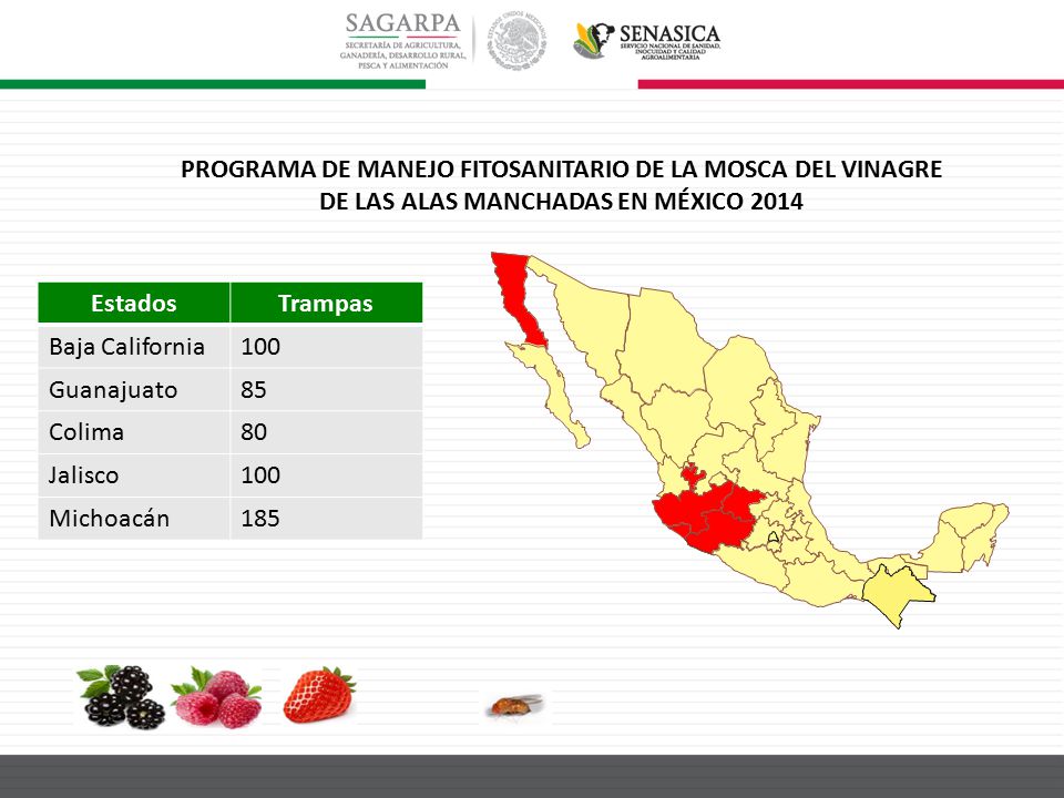 PROGRAMA DE MANEJO FITOSANITARIO DE LA MOSCA DEL VINAGRE DE LAS ALAS MANCHADAS EN MÉXICO 2014