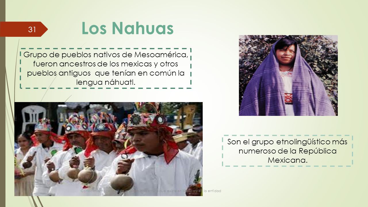 Son el grupo etnolingüístico más numeroso de la República Mexicana.