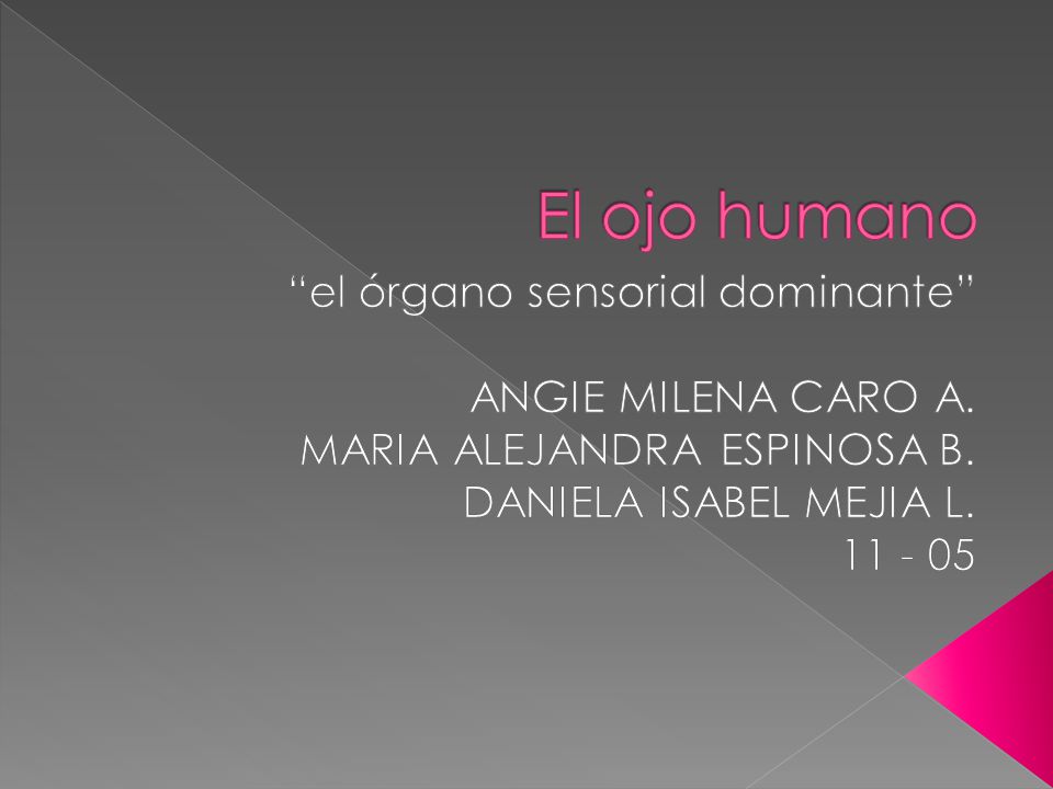 El ojo humano el órgano sensorial dominante ANGIE MILENA CARO A.