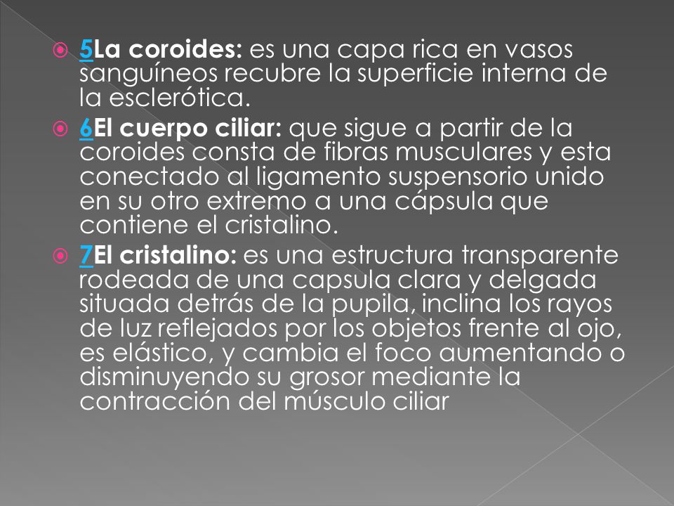 5La coroides: es una capa rica en vasos sanguíneos recubre la superficie interna de la esclerótica.