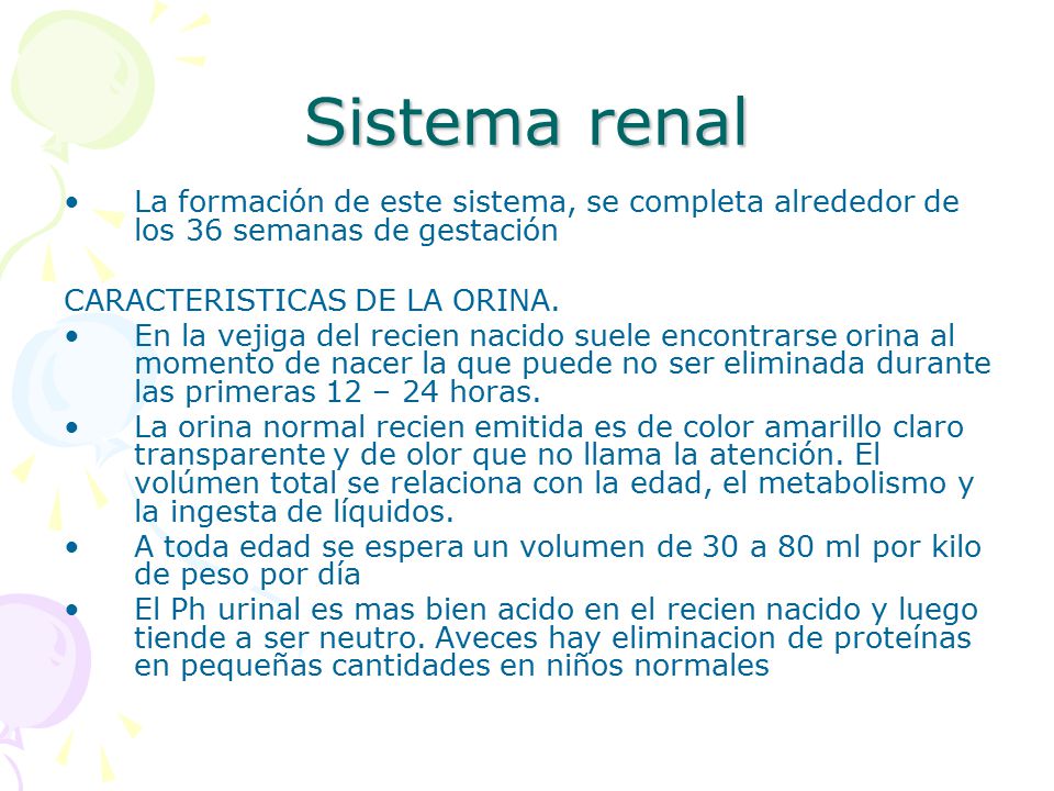 Sistema renal La formación de este sistema, se completa alrededor de los 36 semanas de gestación. CARACTERISTICAS DE LA ORINA.
