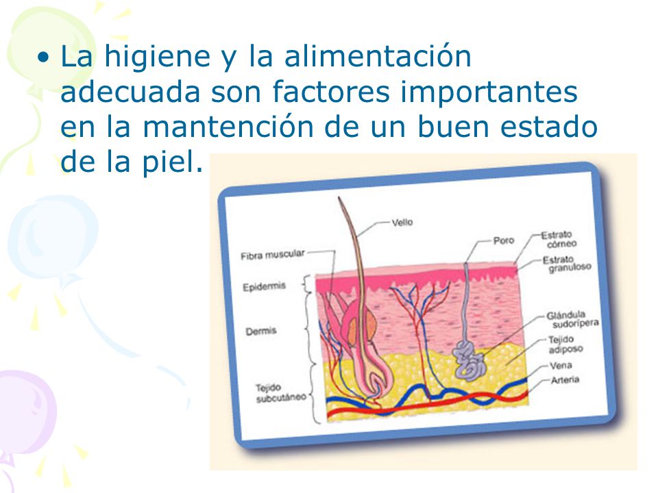 La higiene y la alimentación adecuada son factores importantes en la mantención de un buen estado de la piel.
