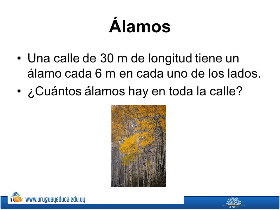 Álamos Una calle de 30 m de longitud tiene un álamo cada 6 m en cada uno de los lados.