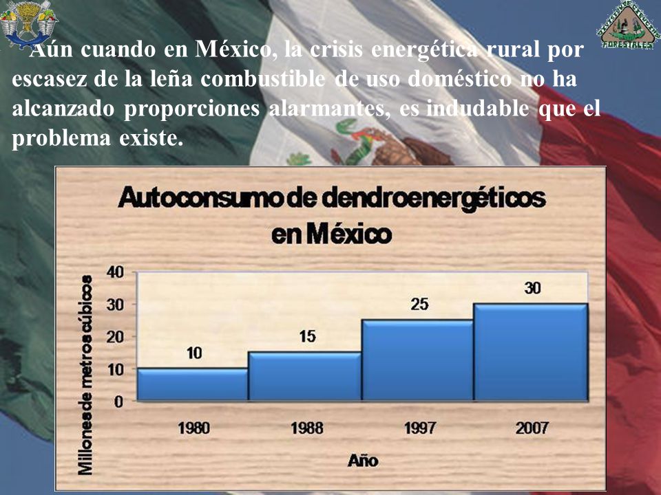 Aún cuando en México, la crisis energética rural por escasez de la leña combustible de uso doméstico no ha alcanzado proporciones alarmantes, es indudable que el problema existe.