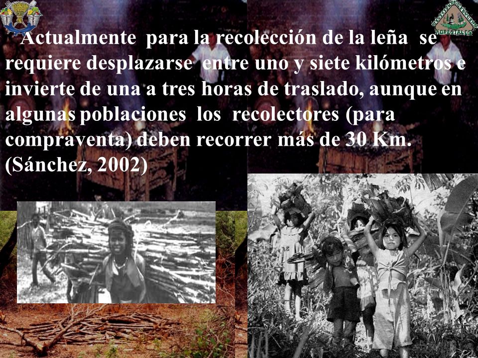 Actualmente para la recolección de la leña se requiere desplazarse entre uno y siete kilómetros e invierte de una a tres horas de traslado, aunque en algunas poblaciones los recolectores (para compraventa) deben recorrer más de 30 Km.