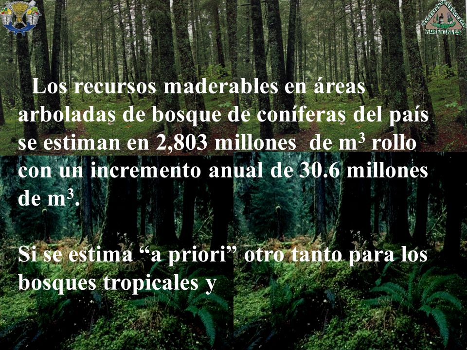 Si se estima a priori otro tanto para los bosques tropicales y