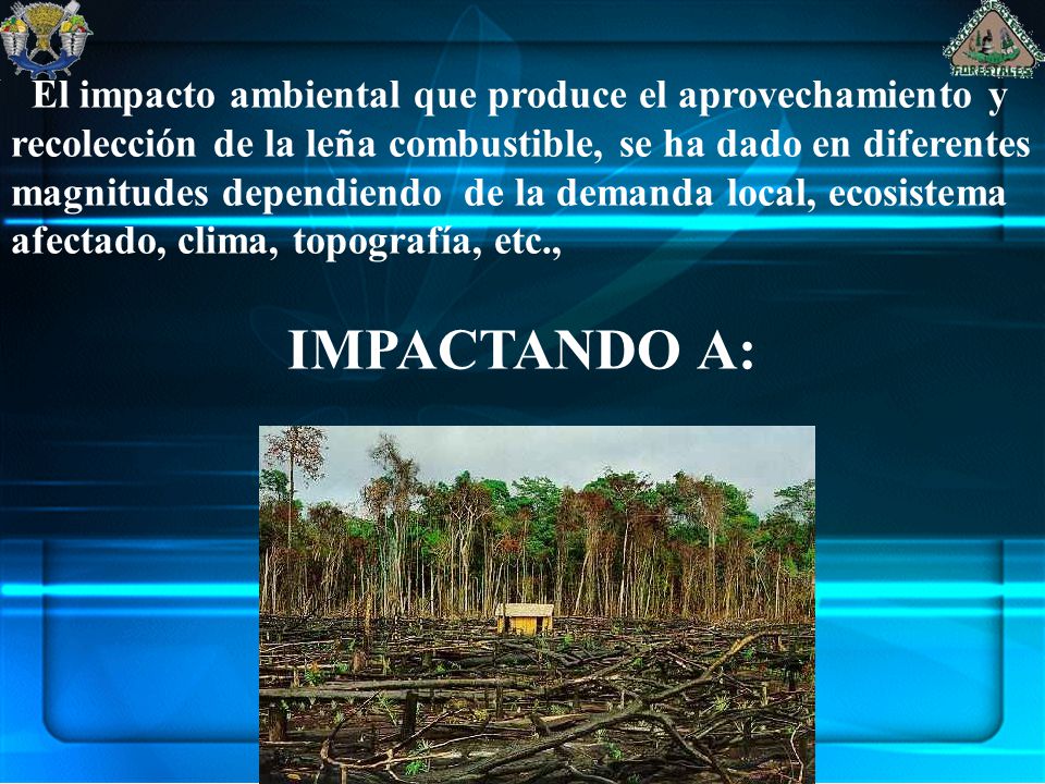 El impacto ambiental que produce el aprovechamiento y recolección de la leña combustible, se ha dado en diferentes magnitudes dependiendo de la demanda local, ecosistema afectado, clima, topografía, etc.,