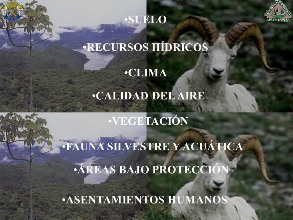 SUELO RECURSOS HÍDRICOS. CLIMA. CALIDAD DEL AIRE. VEGETACIÓN. FAUNA SILVESTRE Y ACUÁTICA. ÁREAS BAJO PROTECCIÓN.