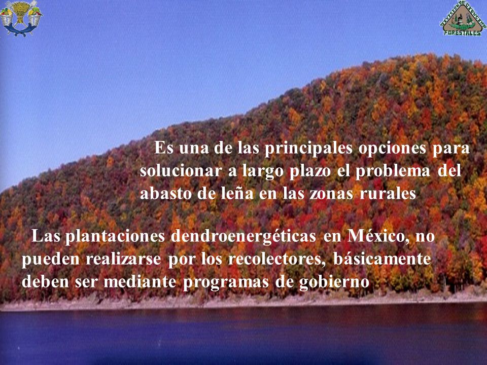 Es una de las principales opciones para solucionar a largo plazo el problema del abasto de leña en las zonas rurales