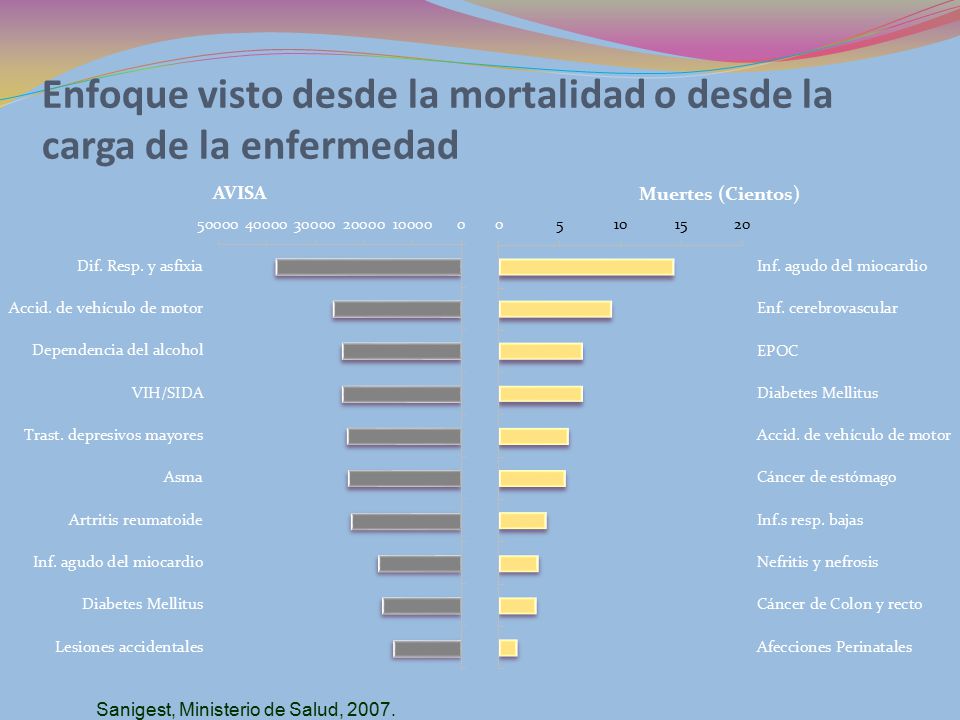Enfoque visto desde la mortalidad o desde la carga de la enfermedad