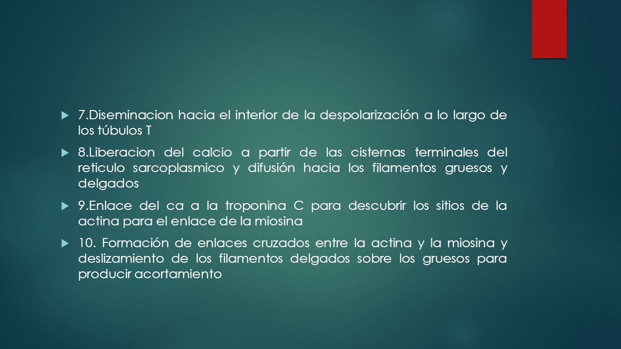 7.Diseminacion hacia el interior de la despolarización a lo largo de los túbulos T