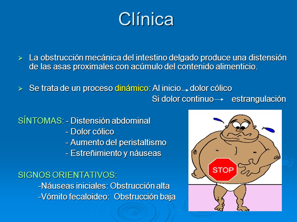 Clínica La obstrucción mecánica del intestino delgado produce una distensión de las asas proximales con acúmulo del contenido alimenticio.