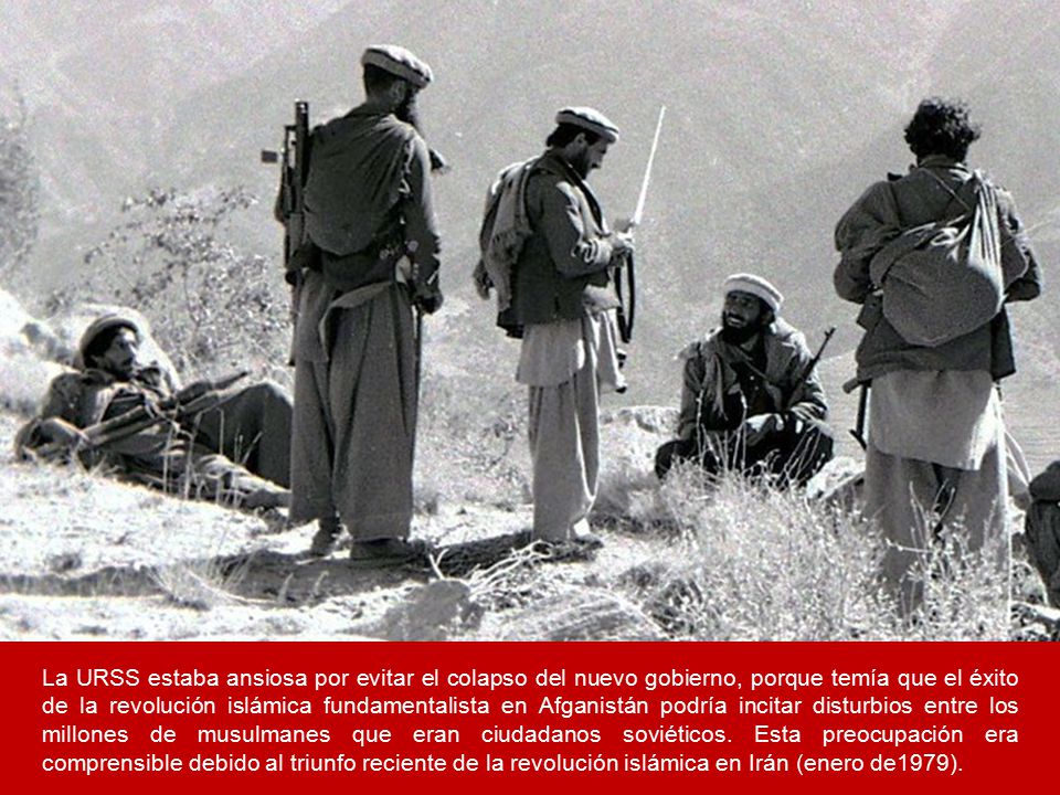 La URSS estaba ansiosa por evitar el colapso del nuevo gobierno, porque temía que el éxito de la revolución islámica fundamentalista en Afganistán podría incitar disturbios entre los millones de musulmanes que eran ciudadanos soviéticos.