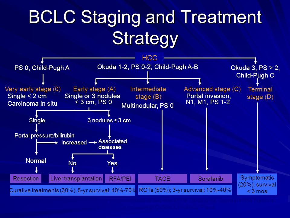 BCLC Staging and Treatment Strategy
