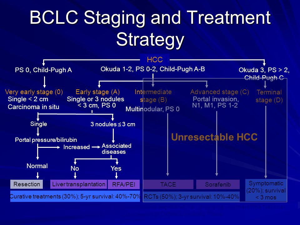 BCLC Staging and Treatment Strategy