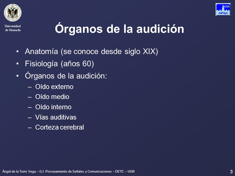 Órganos de la audición Anatomía (se conoce desde siglo XIX)