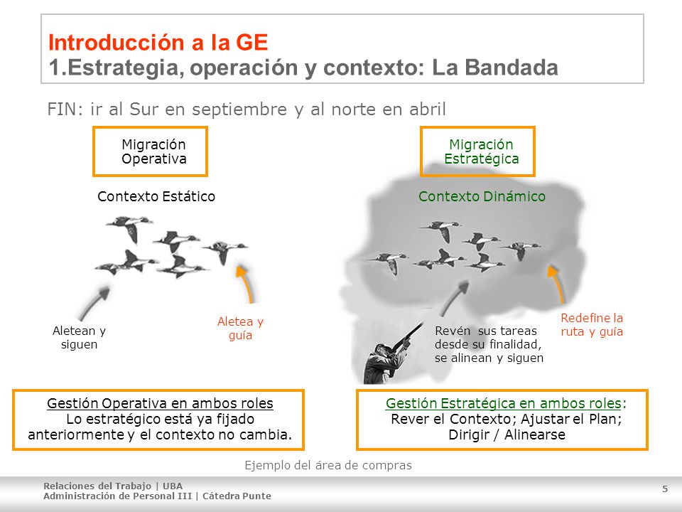 Introducción a la GE 1.Estrategia, operación y contexto: La Bandada