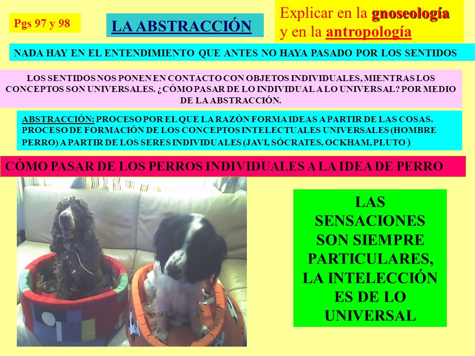 Explicar en la gnoseología y en la antropología LA ABSTRACCIÓN