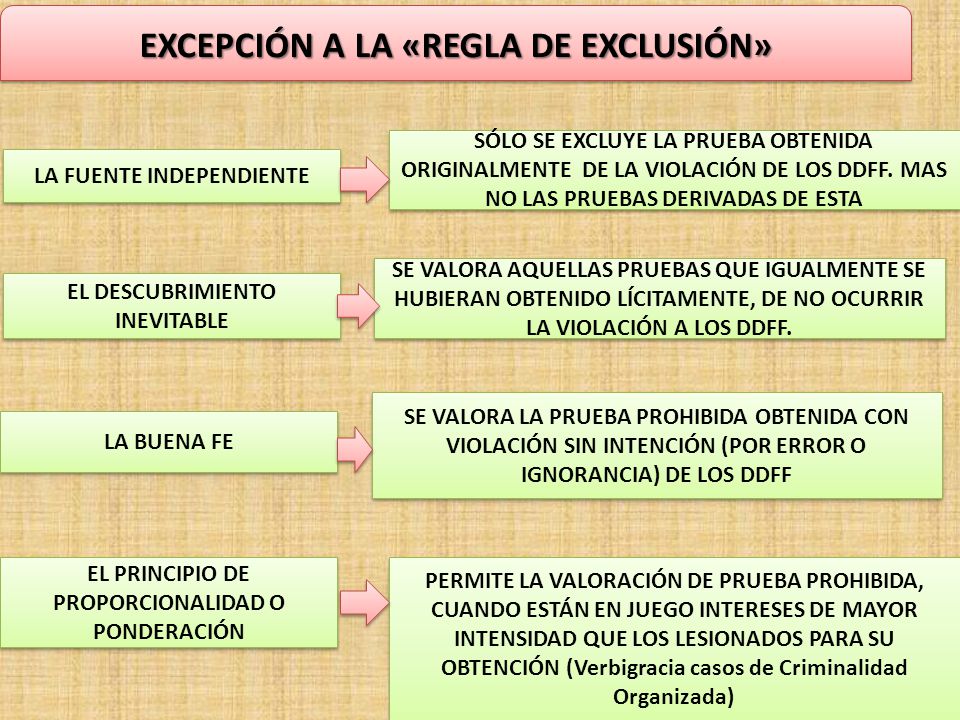 EXCEPCIÓN A LA «REGLA DE EXCLUSIÓN»