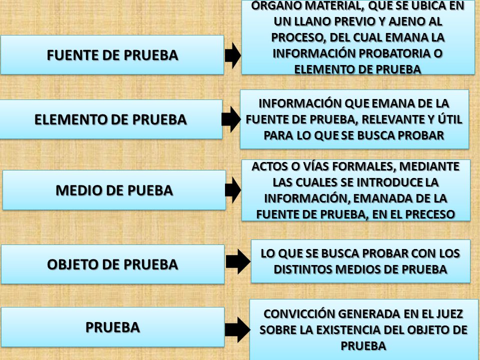 LO QUE SE BUSCA PROBAR CON LOS DISTINTOS MEDIOS DE PRUEBA